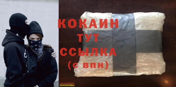 стаф Алзамай