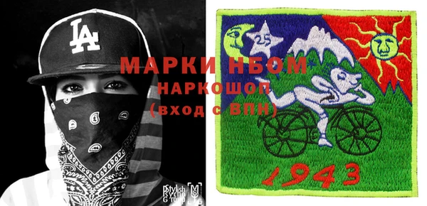 индика Кулебаки