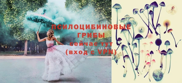 первитин Абинск