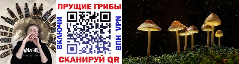 Псилоцибиновые грибы MAGIC MUSHROOMS Гусиноозёрск